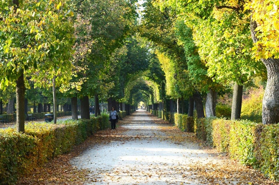 Schönbrunn Panorama Tren Bileti 2026