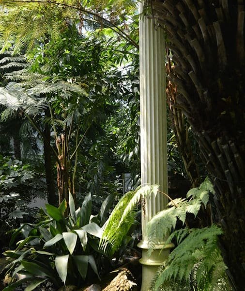 Билети за Tiergarten Schönbrunn 2026 (Билети за зоопарка Schönbrunn)